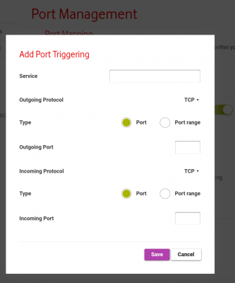 Port Forwarding Options.png