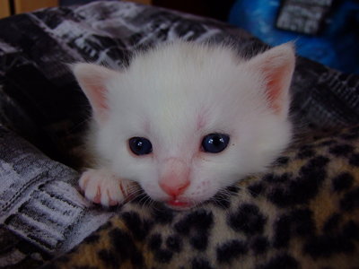 DSCF2982.JPG